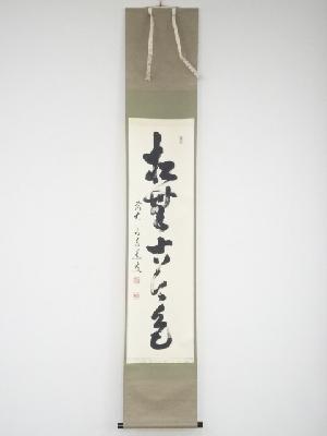 前大徳足立泰道筆　「松無古今色」一行書　肉筆紙本掛軸（共箱）